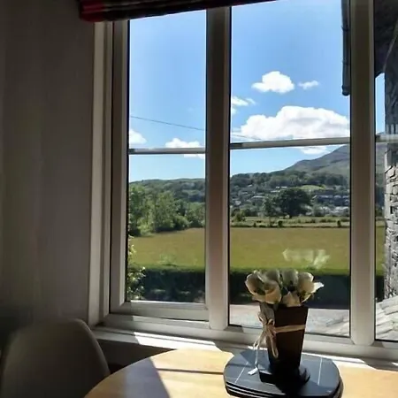 Bluebird 4*