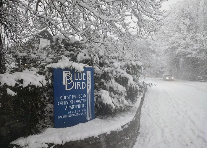 بيت ضيافة Bluebird