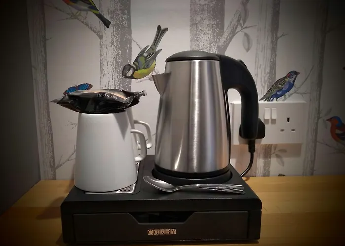 Bluebird 4* كونيستون