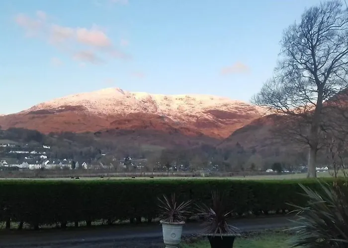 بيت ضيافة Bluebird