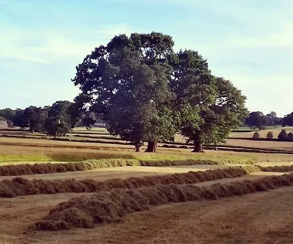 بيت ضيافة Bluebird